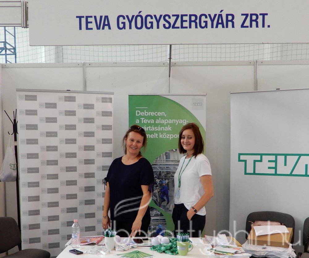 Állásbörze Berettyóújfaluban 18